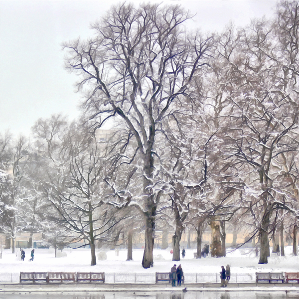 St James Park in the Snow